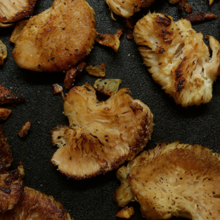 Lion’s Mane Mushrooms cooking recipes