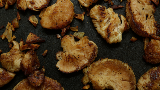 Lion’s Mane Mushrooms cooking recipes